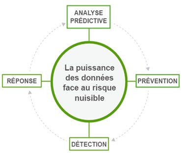 Pest division diagram